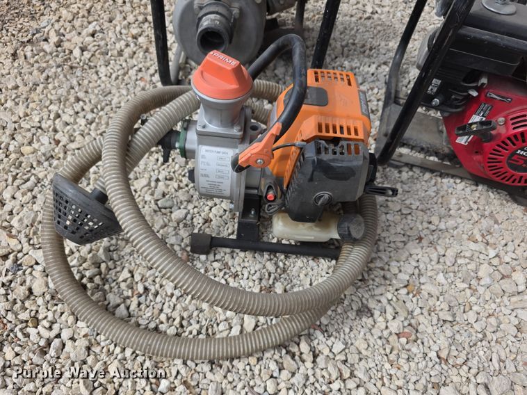 image for item DZ3948 (3) pumps