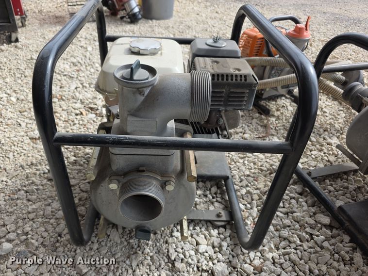 image for item DZ3948 (3) pumps