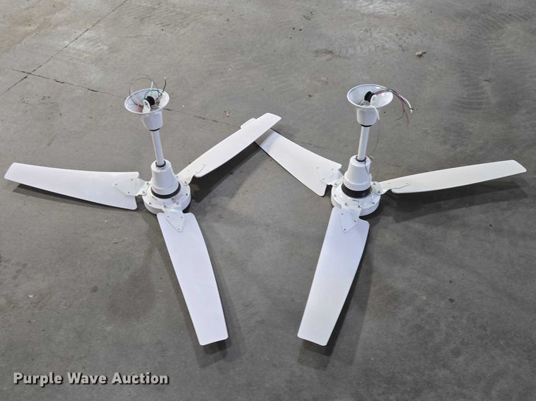 image for item EV5516 (8) Intertek E-56CF ceiling fans