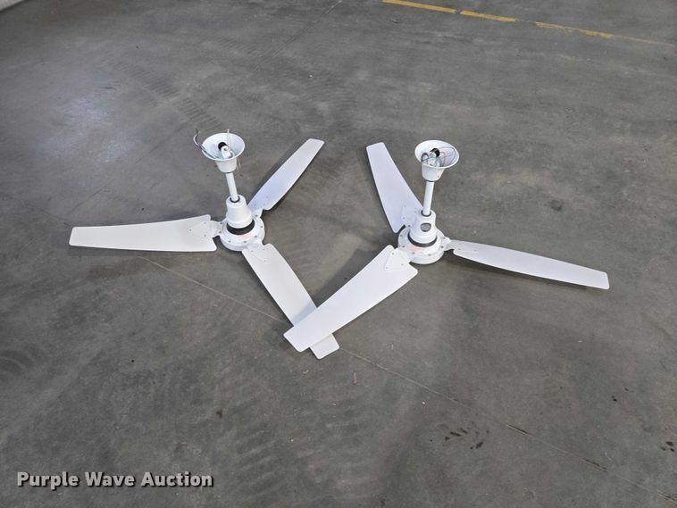 image for item EV5516 (8) Intertek E-56CF ceiling fans