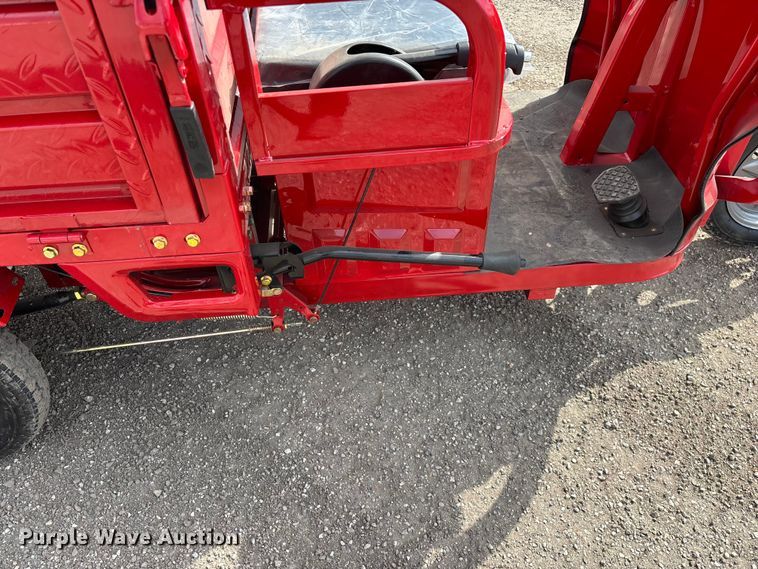 image for item EO4029 IRANCH IRET13 electric tricycle