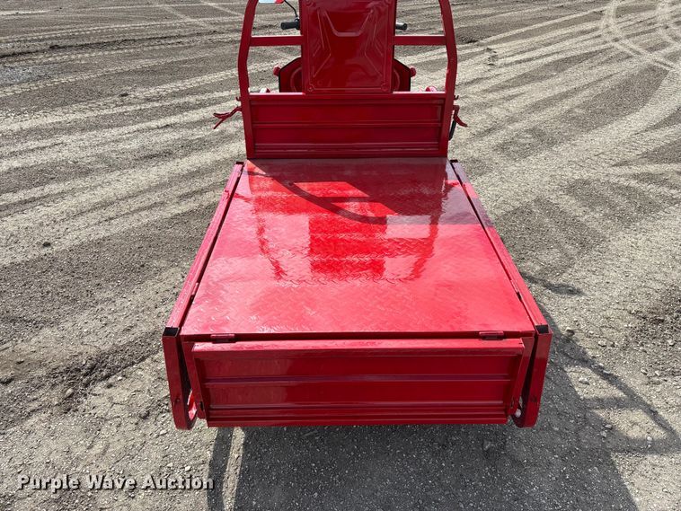 image for item EO4029 IRANCH IRET13 electric tricycle