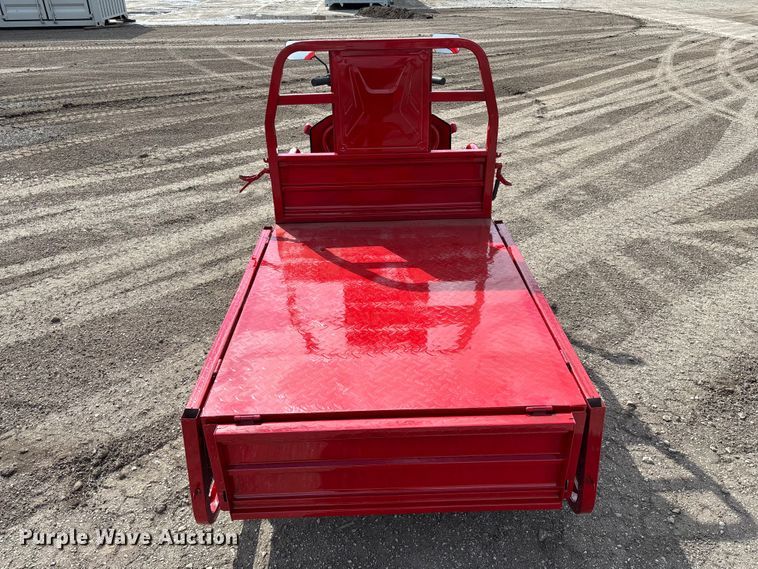 image for item EO4029 IRANCH IRET13 electric tricycle