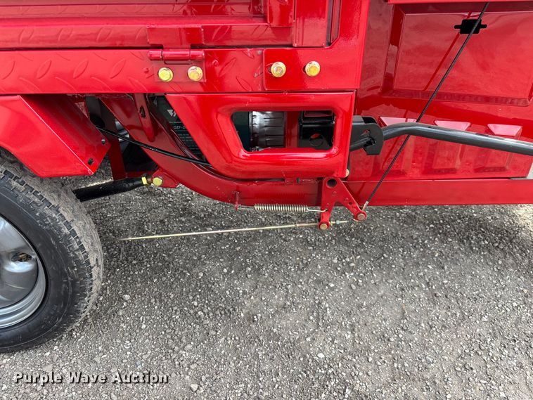 image for item EO4029 IRANCH IRET13 electric tricycle