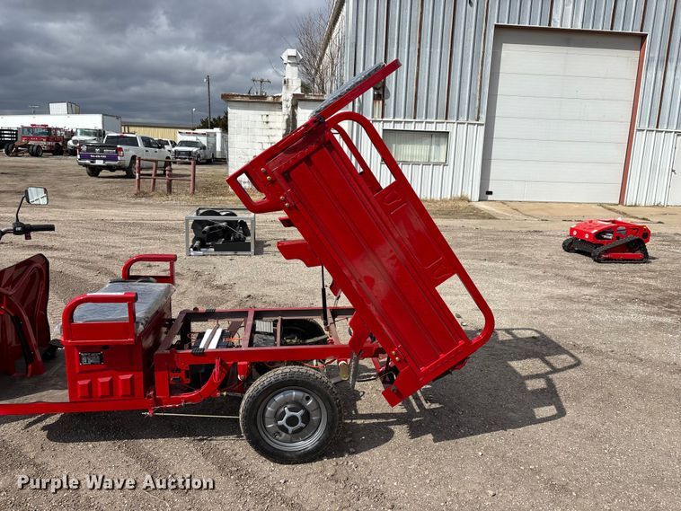 image for item EO4029 IRANCH IRET13 electric tricycle