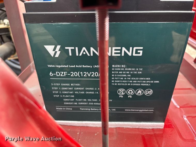 image for item EO4029 IRANCH IRET13 electric tricycle