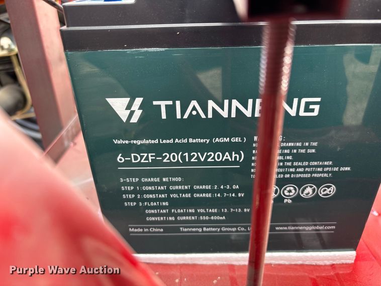 image for item EO4029 IRANCH IRET13 electric tricycle