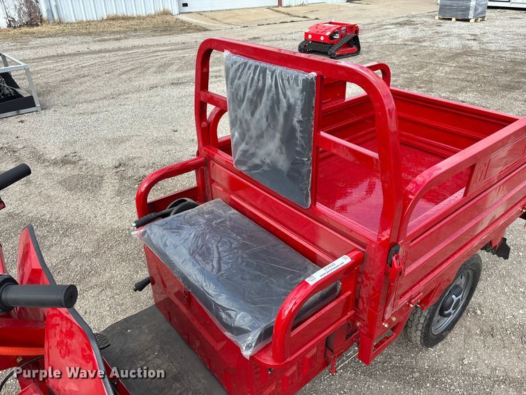 image for item EO4029 IRANCH IRET13 electric tricycle