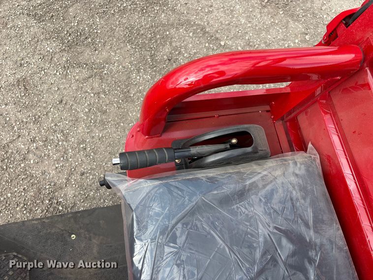 image for item EO4029 IRANCH IRET13 electric tricycle