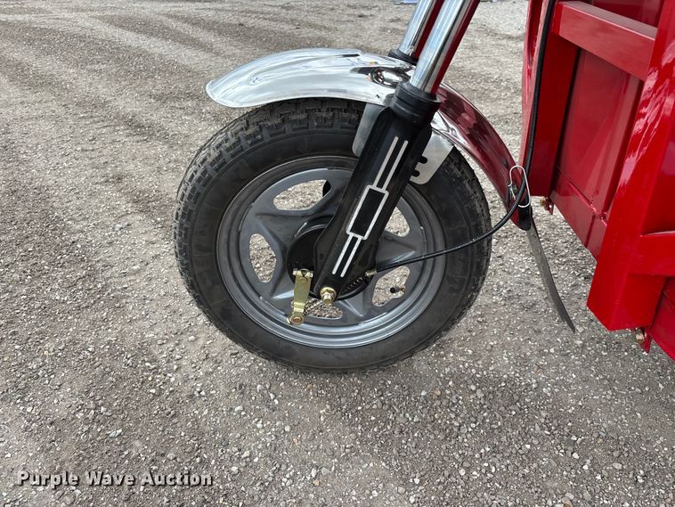 image for item EO4029 IRANCH IRET13 electric tricycle