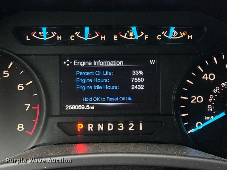 image for item FG0124 2017 Ford F150 pickup truck