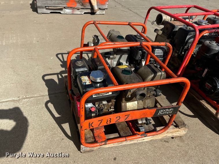 image for item FK1745 Pumps