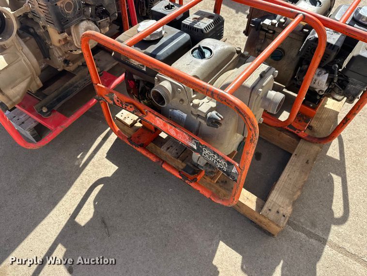 image for item FK1745 Pumps