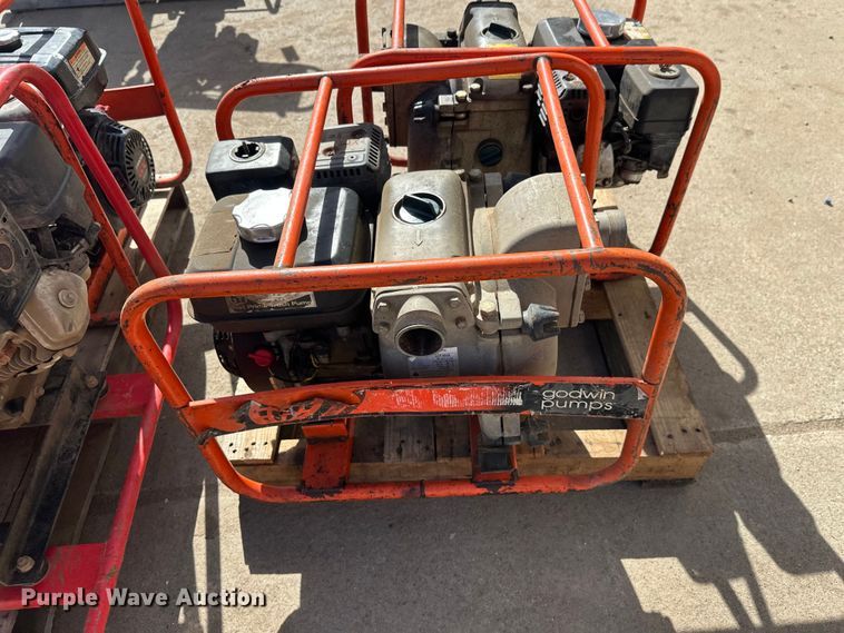 image for item FK1745 Pumps