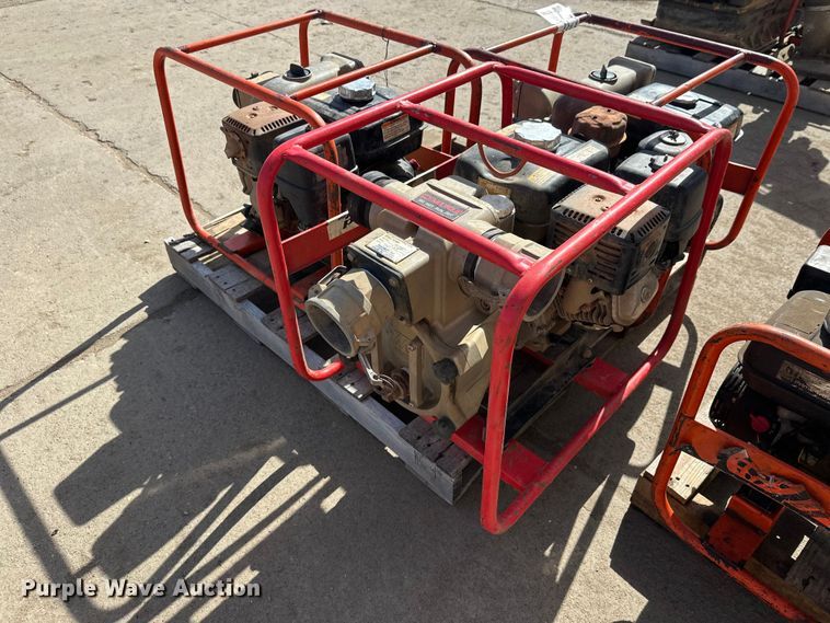 image for item FK1745 Pumps