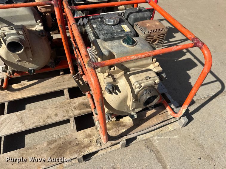 image for item FK1745 Pumps