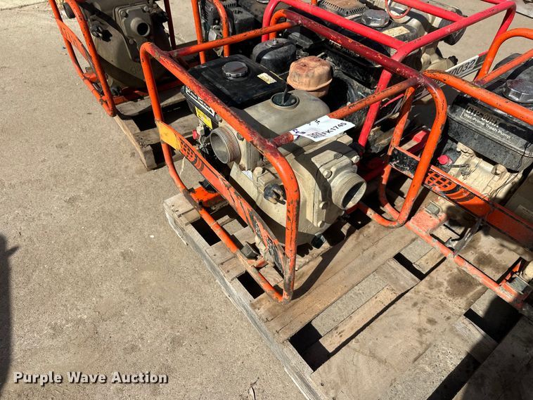 image for item FK1745 Pumps