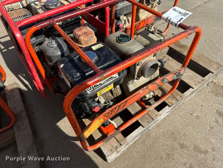 image for item FK1745 Pumps