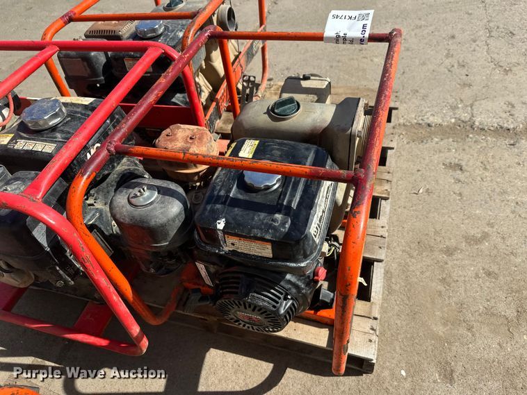 image for item FK1745 Pumps