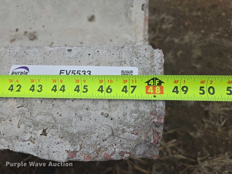 image for item EV5533 (25) concrete blocks