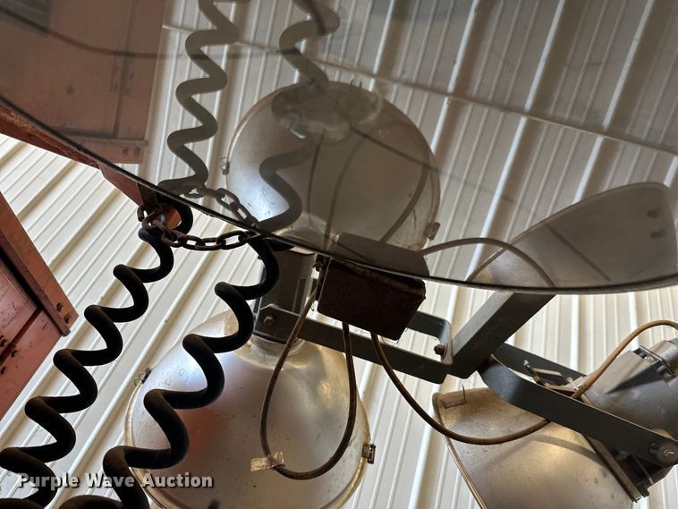 image for item FK1699 Boss BKGFT111 light plant