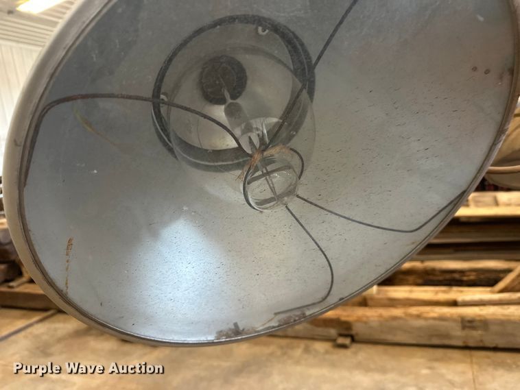 image for item FK1699 Boss BKGFT111 light plant