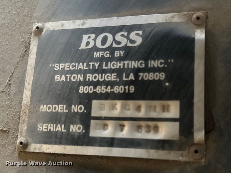 image for item FK1699 Boss BKGFT111 light plant