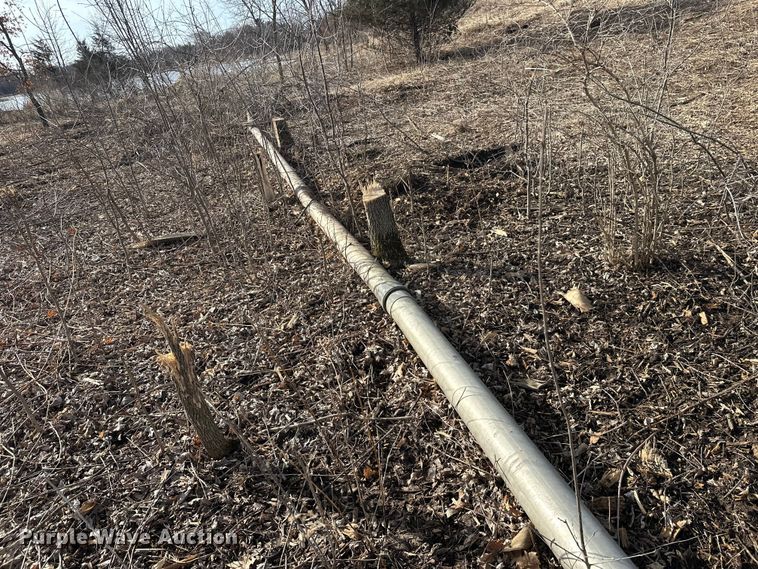 image for item FK1731 Hale pump