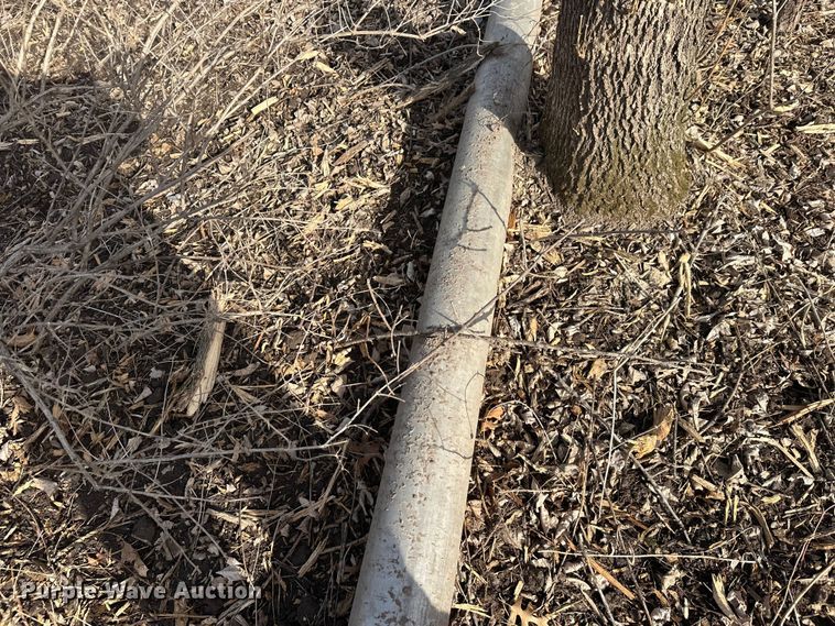 image for item FK1731 Hale pump