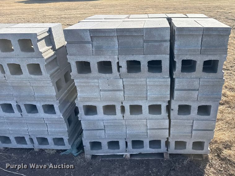 image for item DZ5266 Approximately (150) cinder blocks