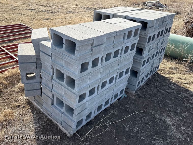 image for item DZ5266 Approximately (150) cinder blocks