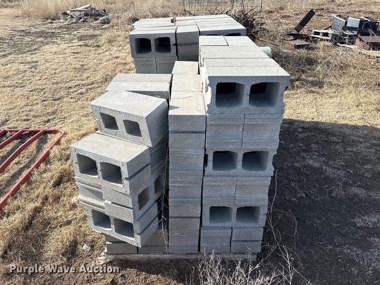 image for item DZ5266 Approximately (150) cinder blocks