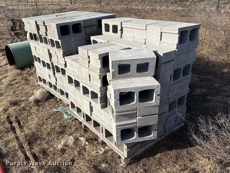 image for item DZ5266 Approximately (150) cinder blocks