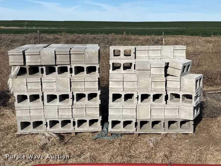 image for item DZ5266 Approximately (150) cinder blocks
