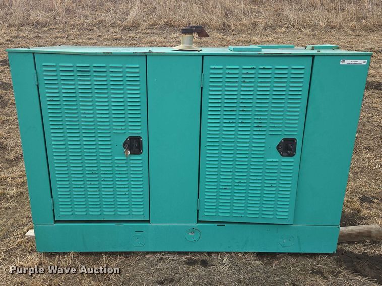 image for item EV5587 Onan 35GGFB generator