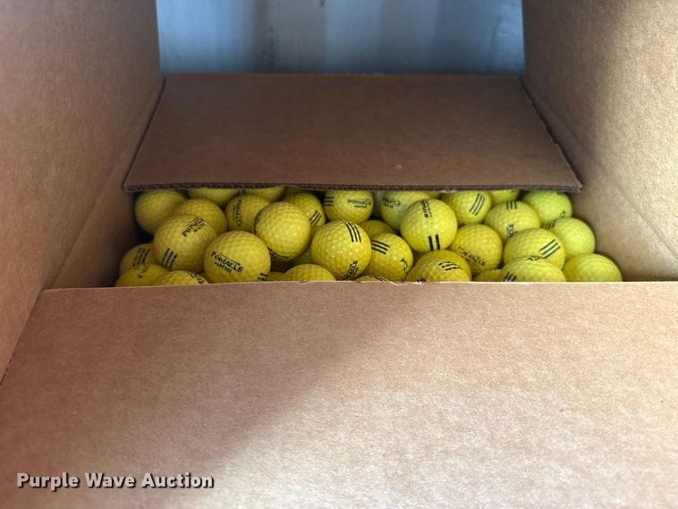 image for item NK9118 (33) cases of Pinnacle practice golf balls