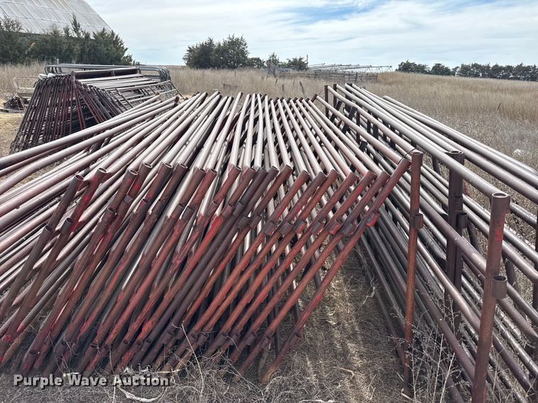 image for item DZ5299 (33) livestock panels