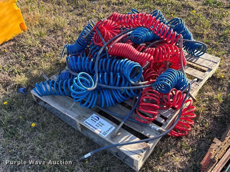 image for item EA4644 Approximately 25 air lines