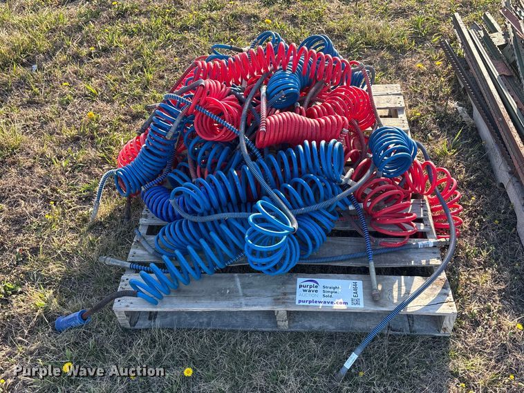 image for item EA4644 Approximately 25 air lines