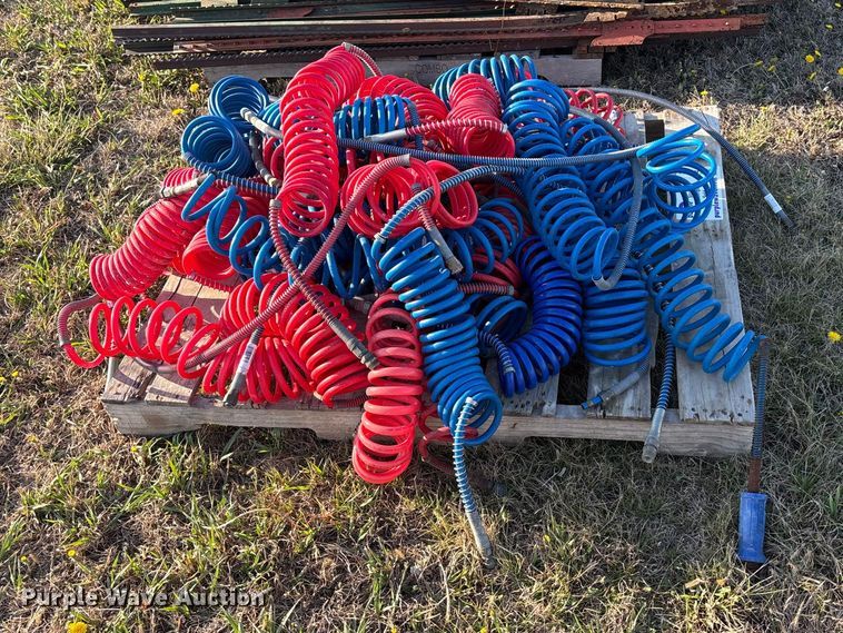 image for item EA4644 Approximately 25 air lines