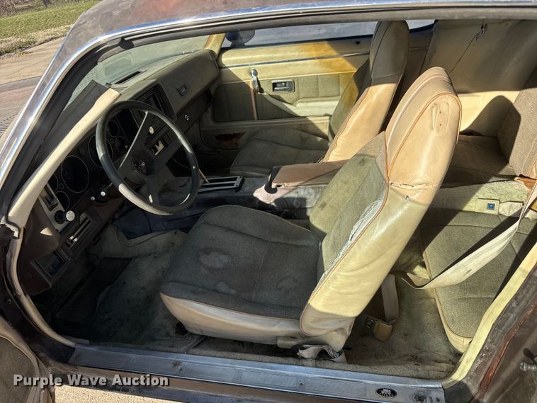 image for item ET1732 1981 Chevrolet Camaro 