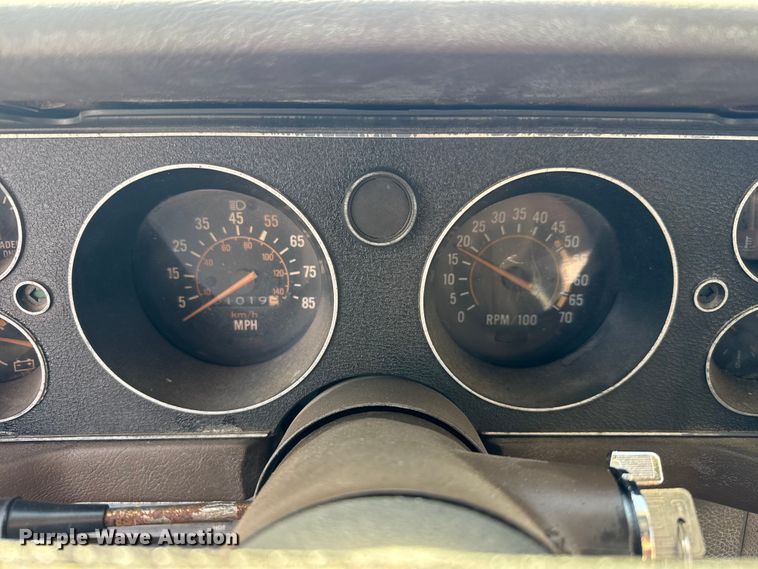 image for item ET1732 1981 Chevrolet Camaro 