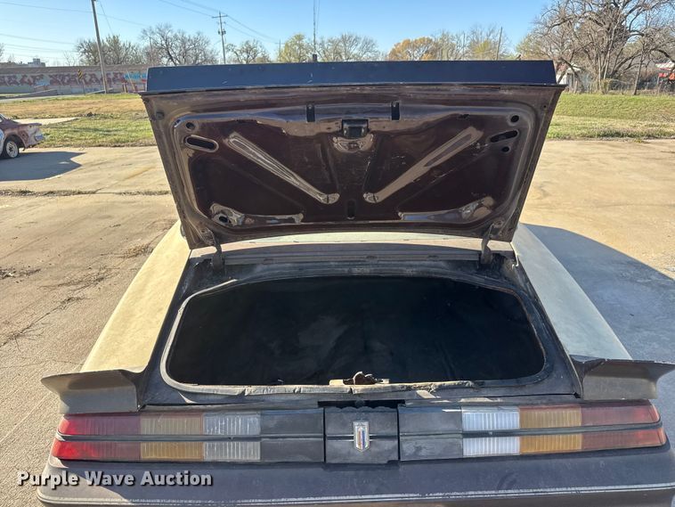 image for item ET1732 1981 Chevrolet Camaro 