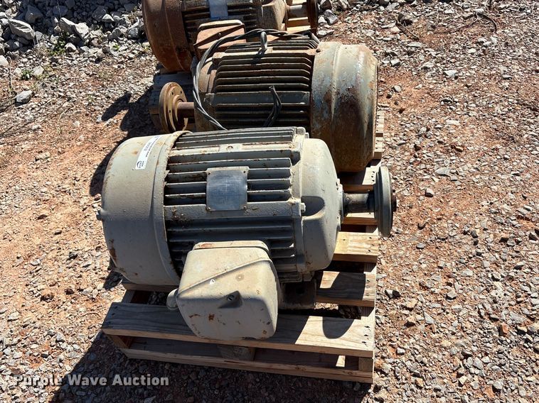 image for item EU0446 (2) Pacemaker electric motors