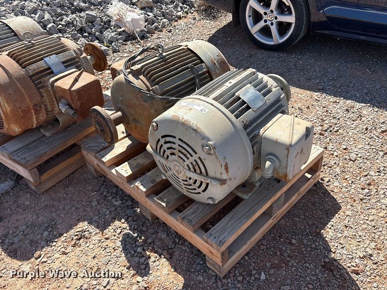 image for item EU0446 (2) Pacemaker electric motors