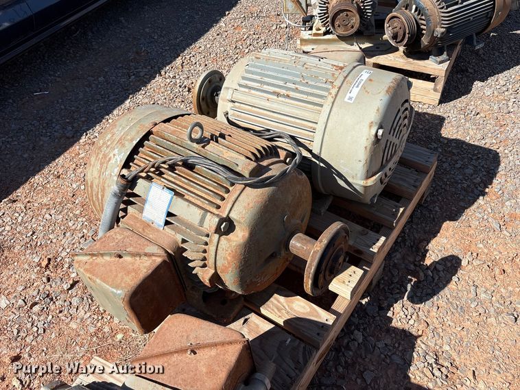 image for item EU0446 (2) Pacemaker electric motors