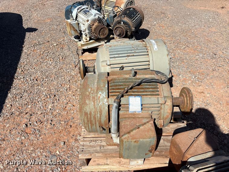 image for item EU0446 (2) Pacemaker electric motors