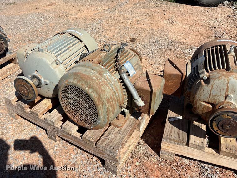 image for item EU0446 (2) Pacemaker electric motors