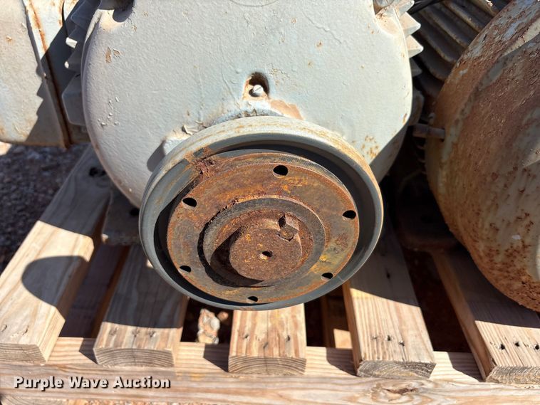 image for item EU0446 (2) Pacemaker electric motors