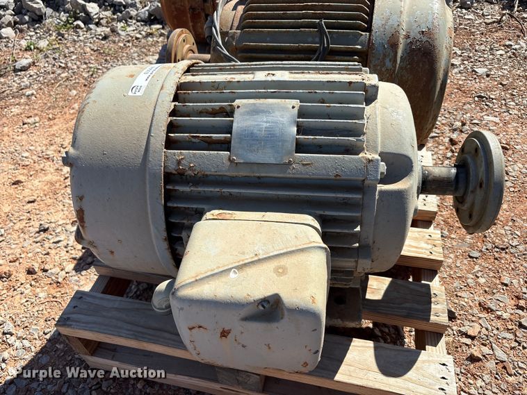 image for item EU0446 (2) Pacemaker electric motors